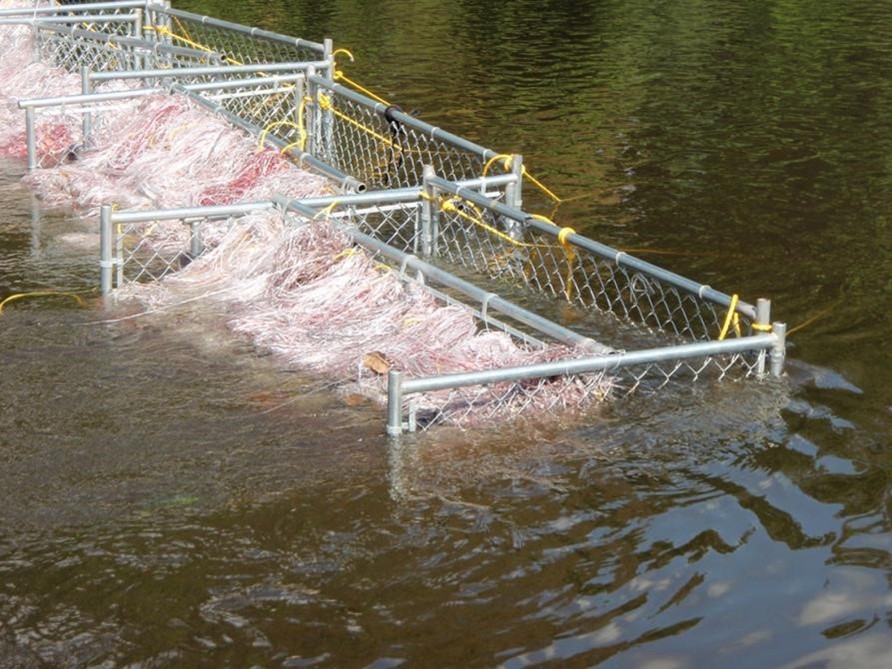 photograph of a Gabion-type basket in use in water