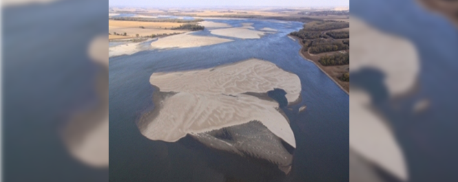 Emergent sandbar habitat for Least Terns on the Missouri River